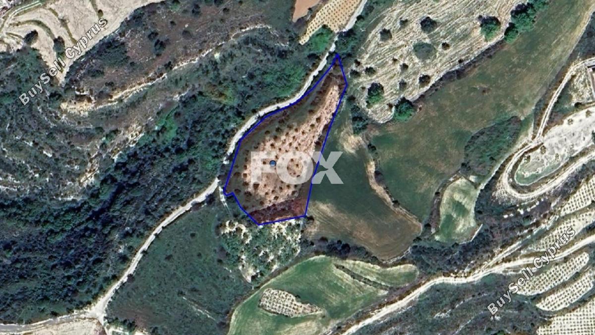 land for sale koili paphos 1161534 image 5559611
