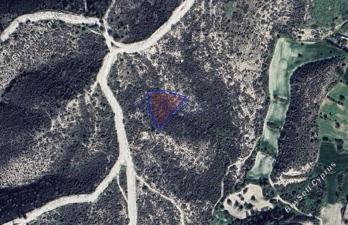 land for sale tochni larnaca 8698534 image 16205379