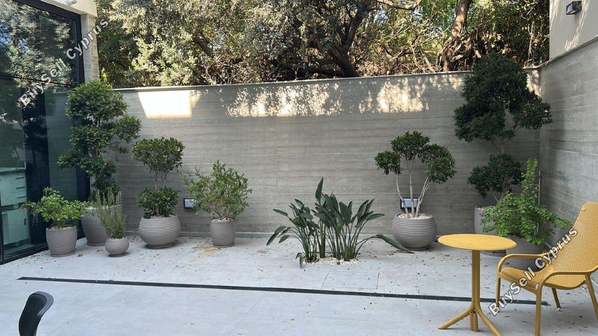 studio office for rent katholiki limassol 7660534 image 16910439