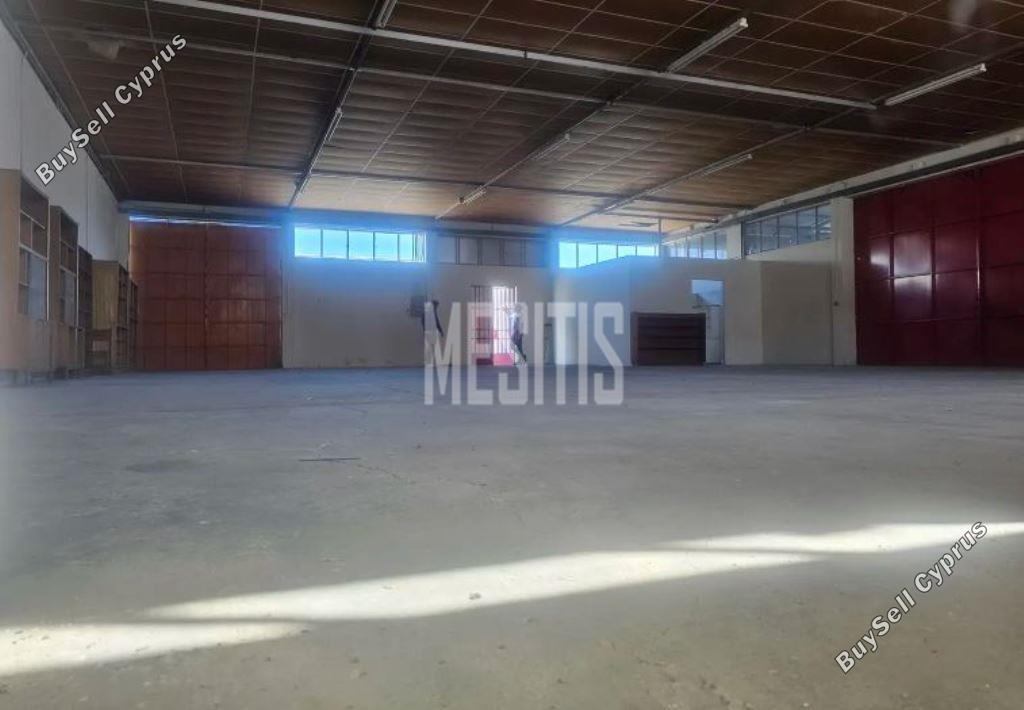 studio warehouse for rent aradippou larnaca 8903534 image 17387950