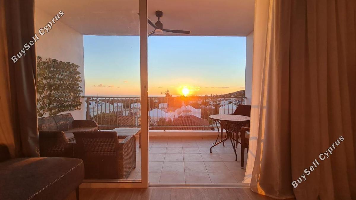 1 bedroom apartment for sale peyia paphos 8570634 image 15631558