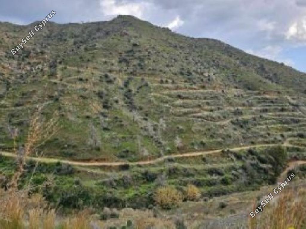 land for sale ora larnaca 1868634 image 6894751