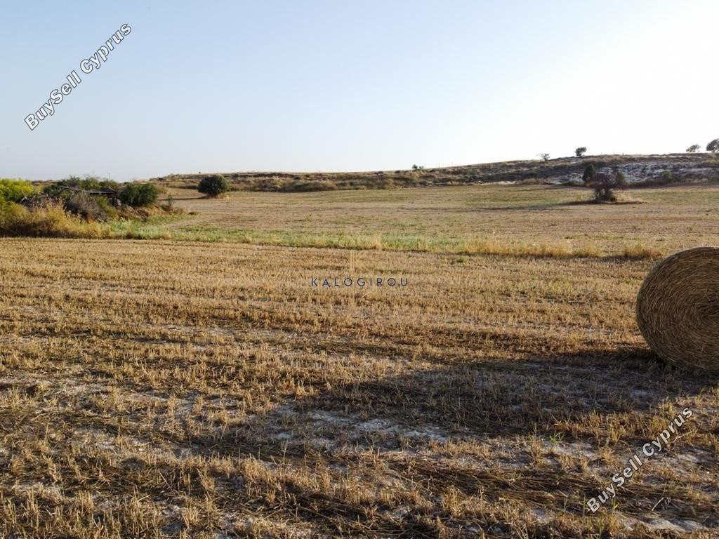 land for sale tersefanou larnaca 1196634 image 13270142