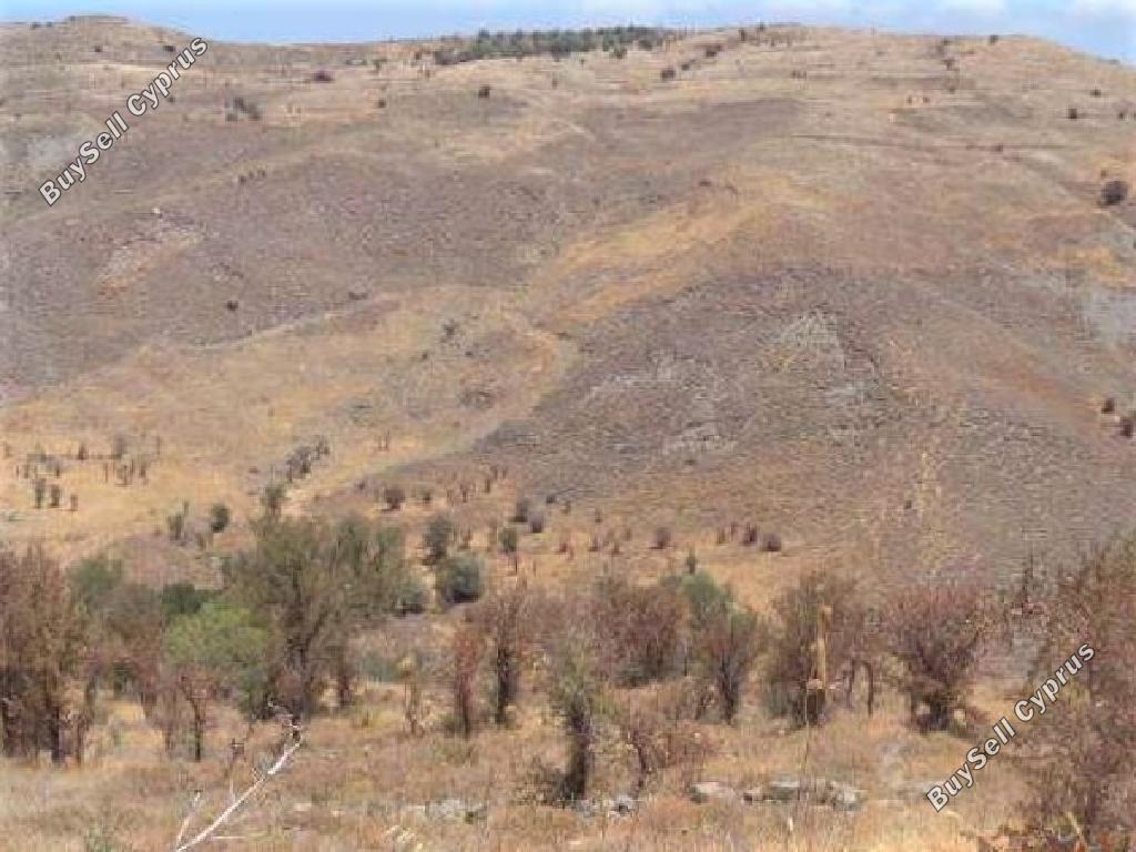13378 SQM Land for sale in Kilinia, Paphos 15598735