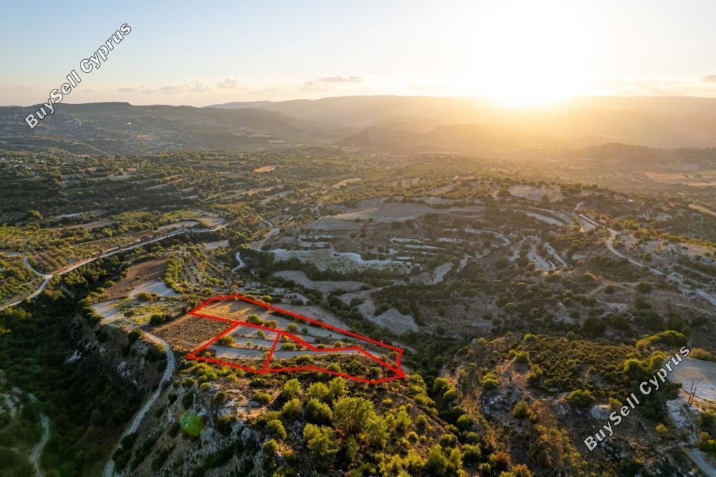 land for sale amargeti paphos 847734 image 15869236