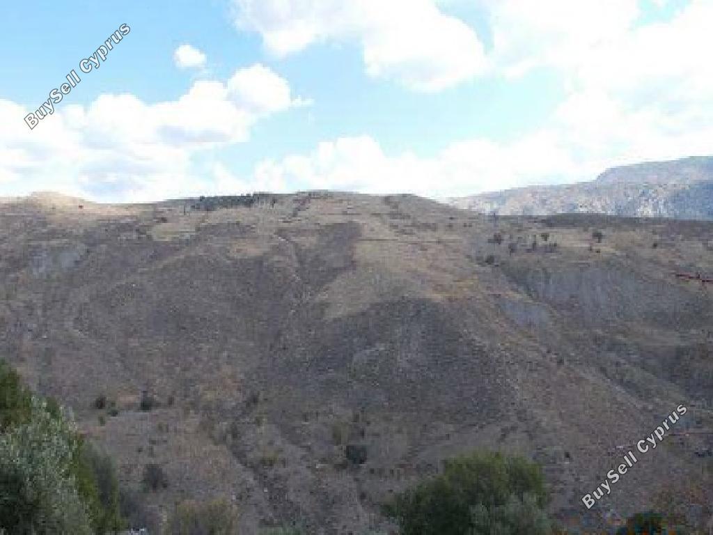 land for sale kilinia paphos 945734 image 15598734