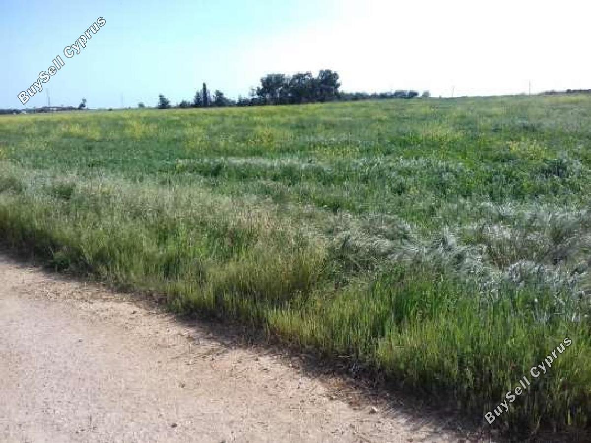 land for sale xylofagou larnaca 8412734 image 14905867