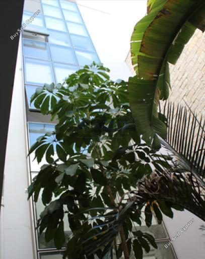 studio commercial building for rent katholiki limassol 7660734 image 14626456