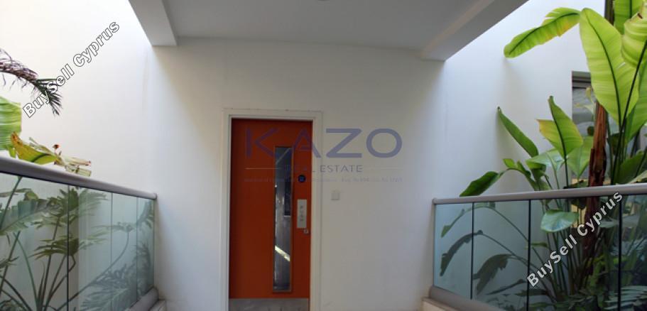 studio commercial building for rent katholiki limassol 7660734 image 14626469