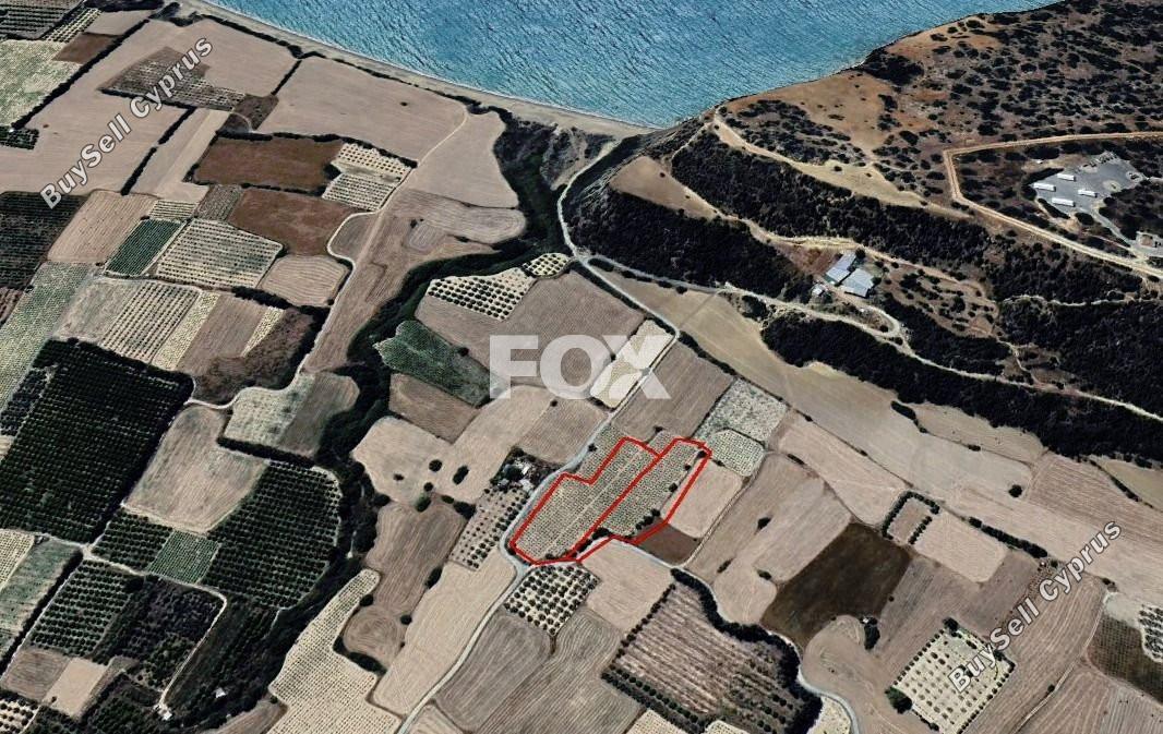 12041 SQM Land for sale in Paramali, Limassol 13369158
