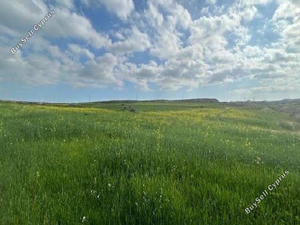 land for sale geri nicosia 8828834 image 16992608