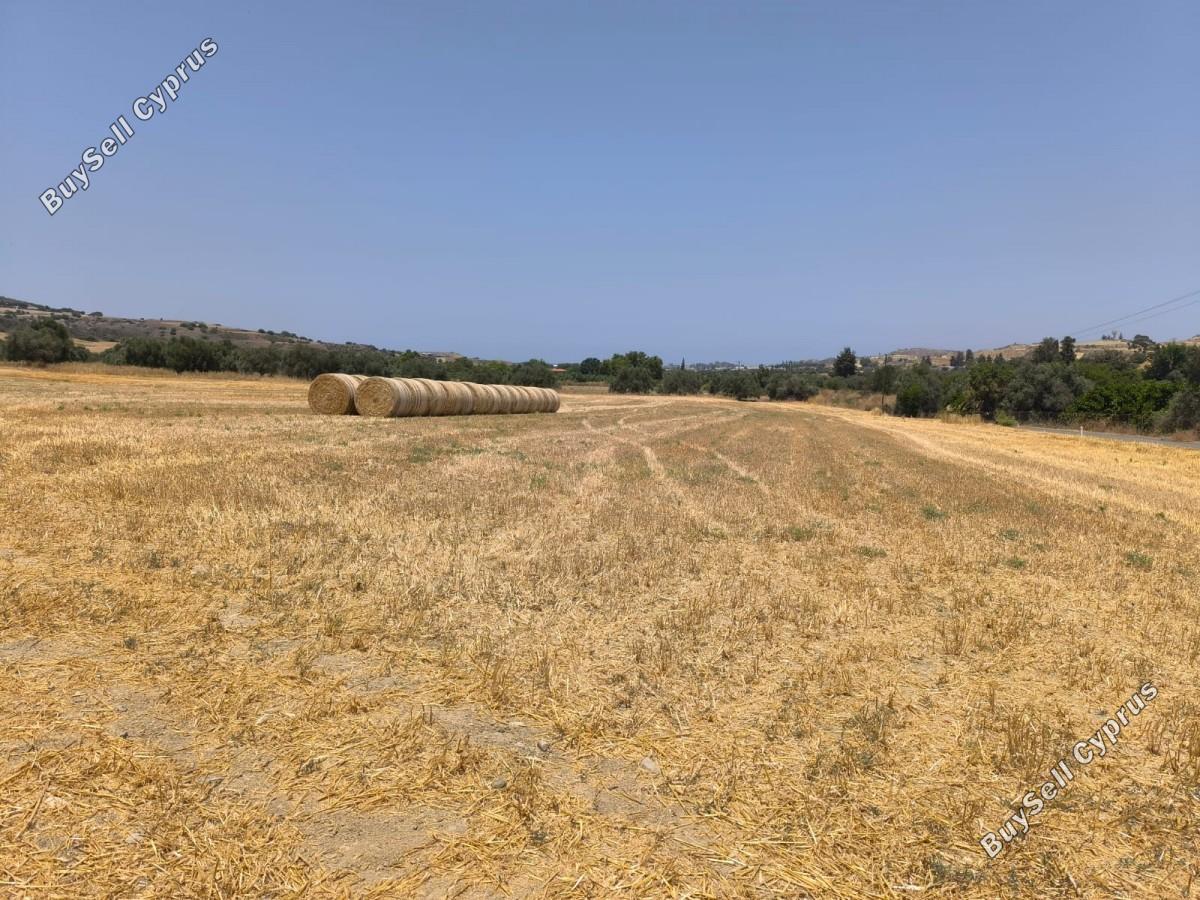 land for sale goudi paphos 8395834 image 15200908