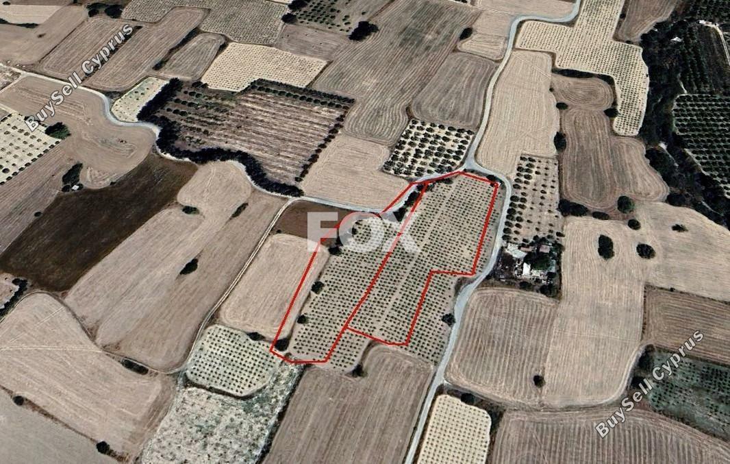 land for sale paramali limassol 1419834 image 13369157