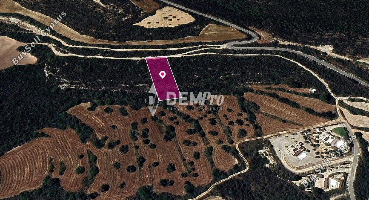 land for sale kritou tera paphos 7812934 image 10643949