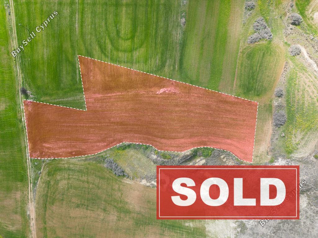 land sold arediou nicosia 992934 image 3402131