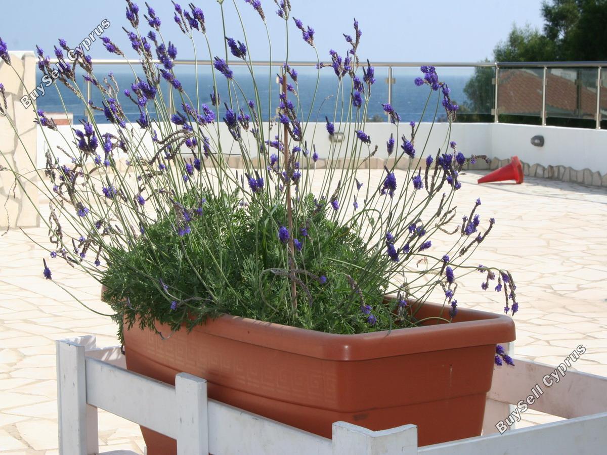 4 bedroom detached house for sale cape greko famagusta 8511044 image 15375285