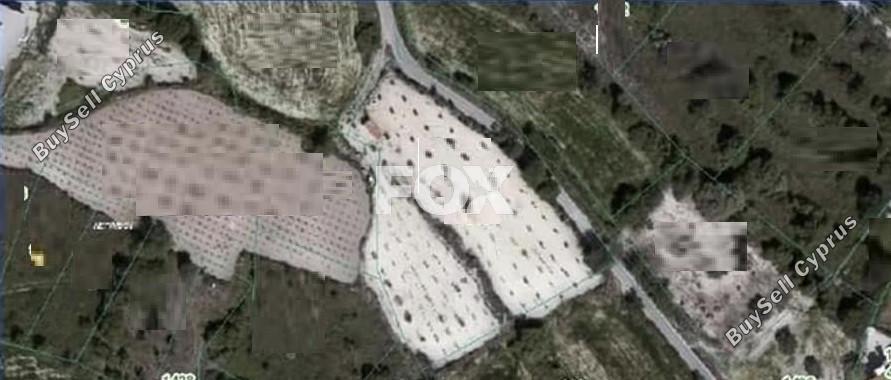 land for sale letymvou paphos 8473044 image 15214846