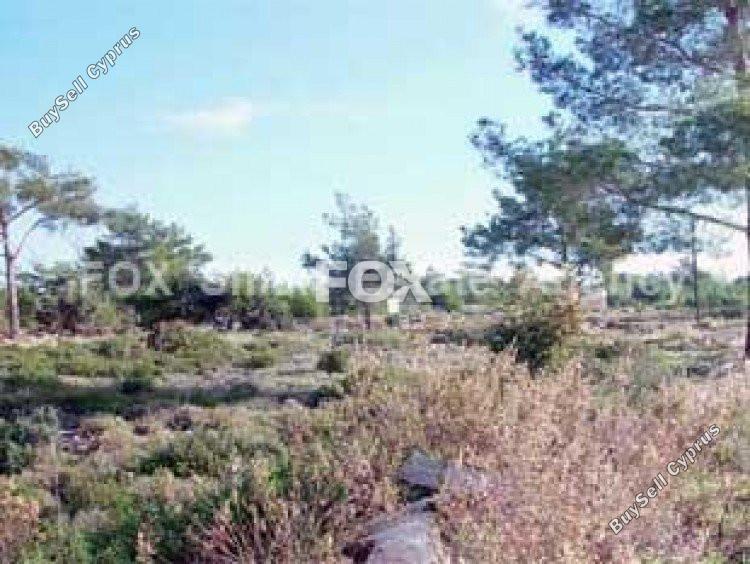 land for sale souni zanakia limassol 1146144 image 5491673