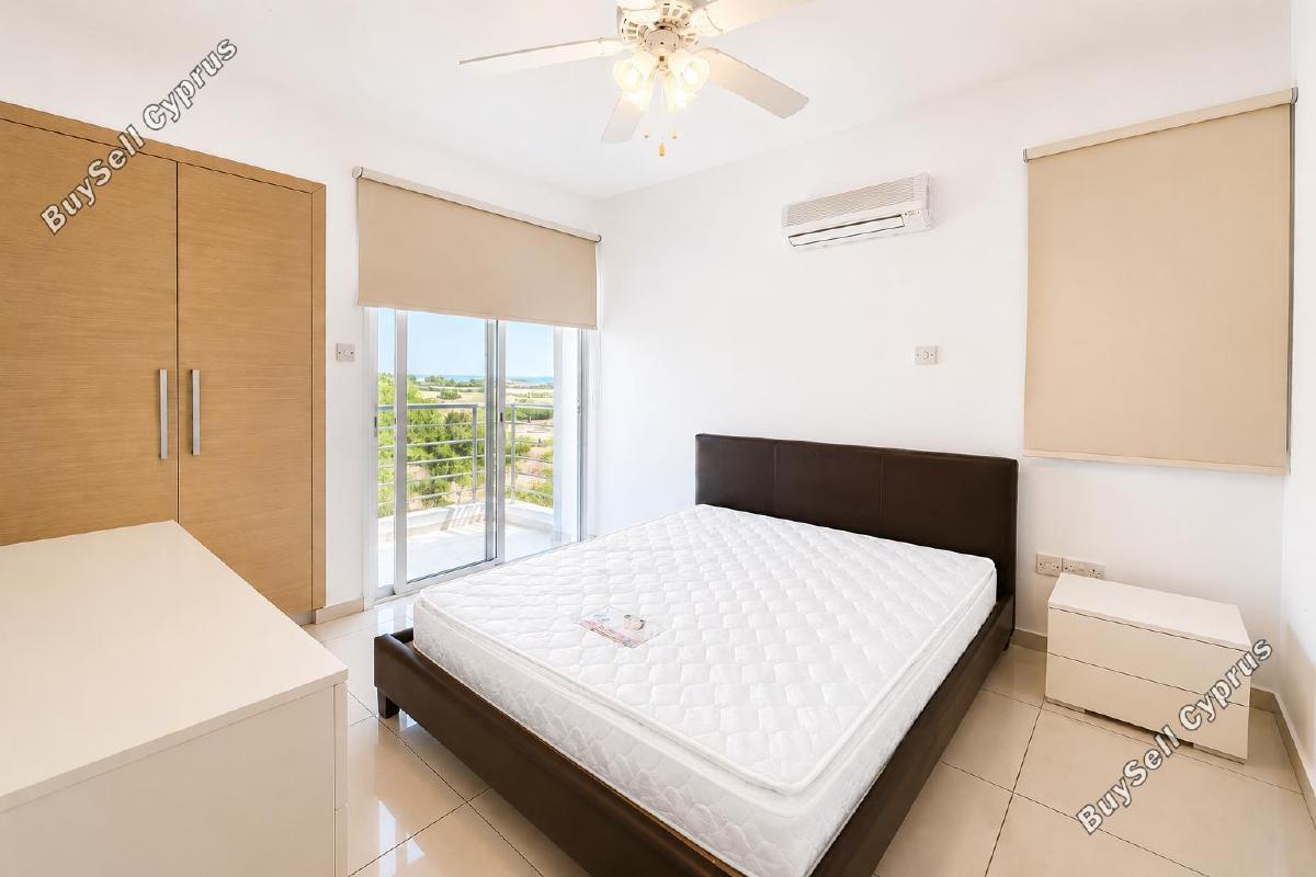 1 bedroom apartment for rent livadia larnacas larnaca 8786244 image 16667393