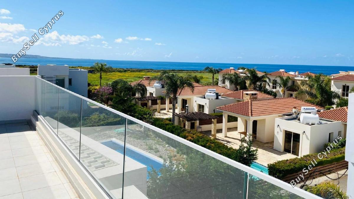 3 bedroom detached house for sale coral bay paphos 8758244 image 16516028