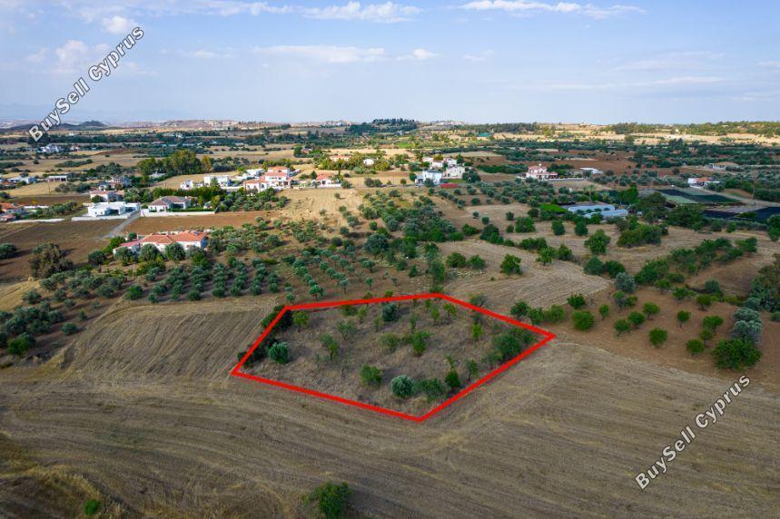 land for sale klirou nicosia 8264244 image 13941136