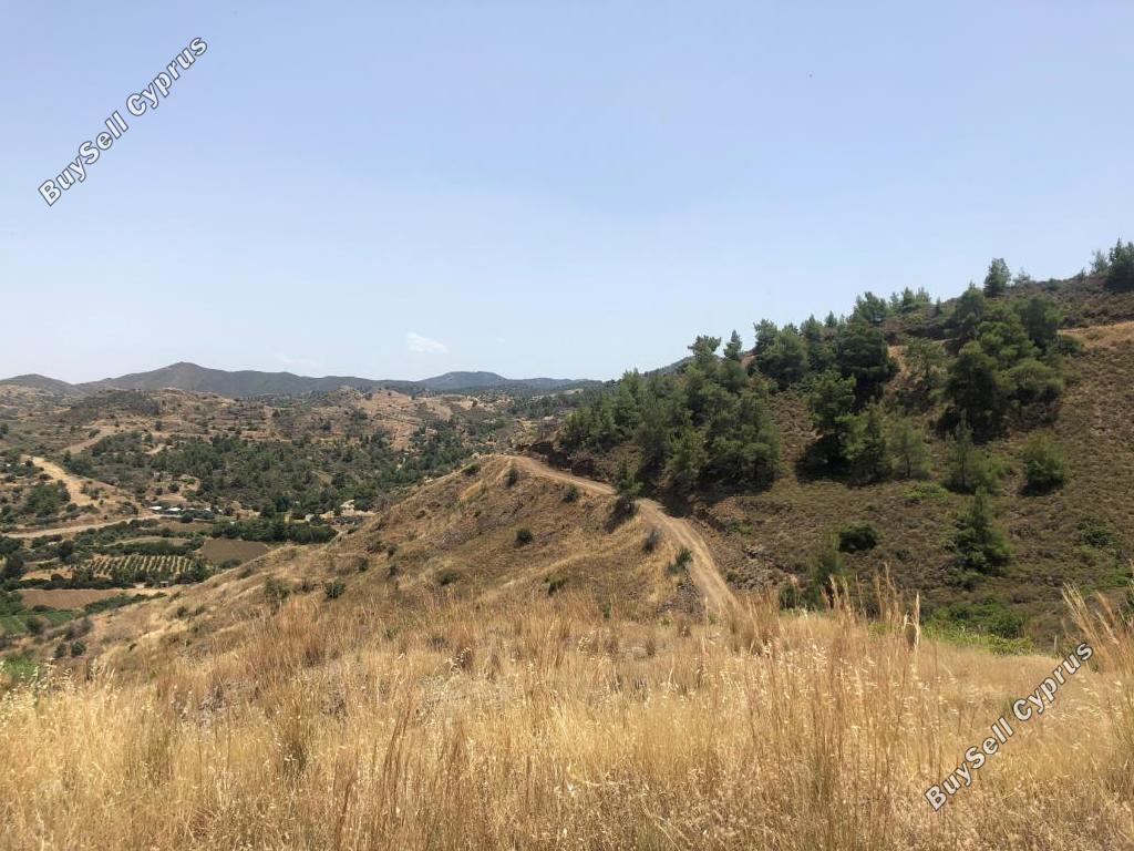land for sale pigenia nicosia 946344 image 15601226