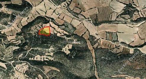 land for sale agios theodoros larnacas larnaca 1744444 image 5726476