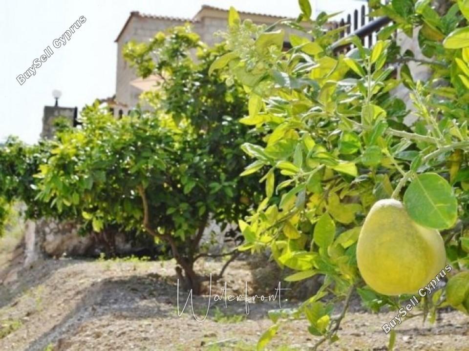 4 bedroom detached house for sale argaka paphos 8959544 image 17782537