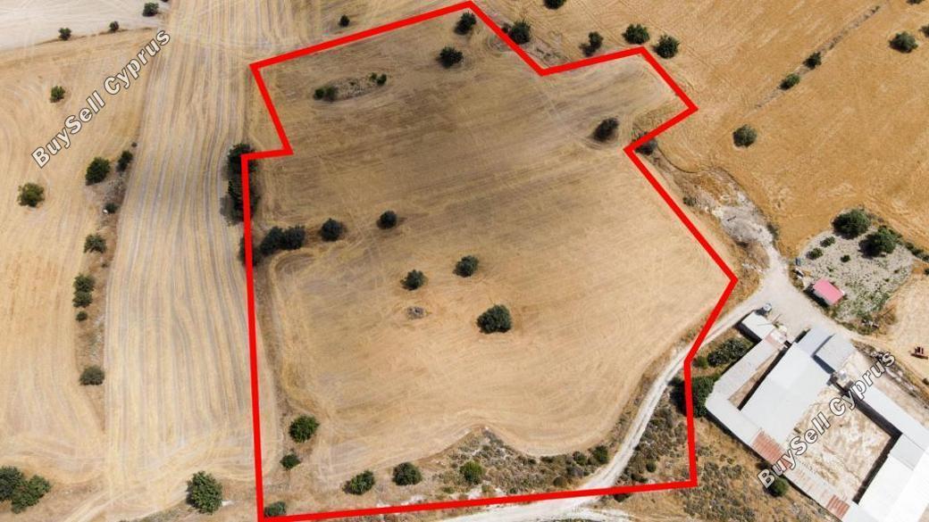 land for sale anglisides larnaca 839544 image 13353433