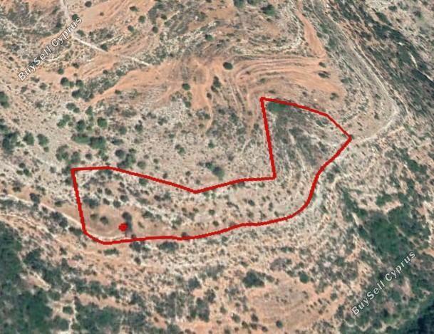 land for sale pachna limassol 1548544 image 6664935