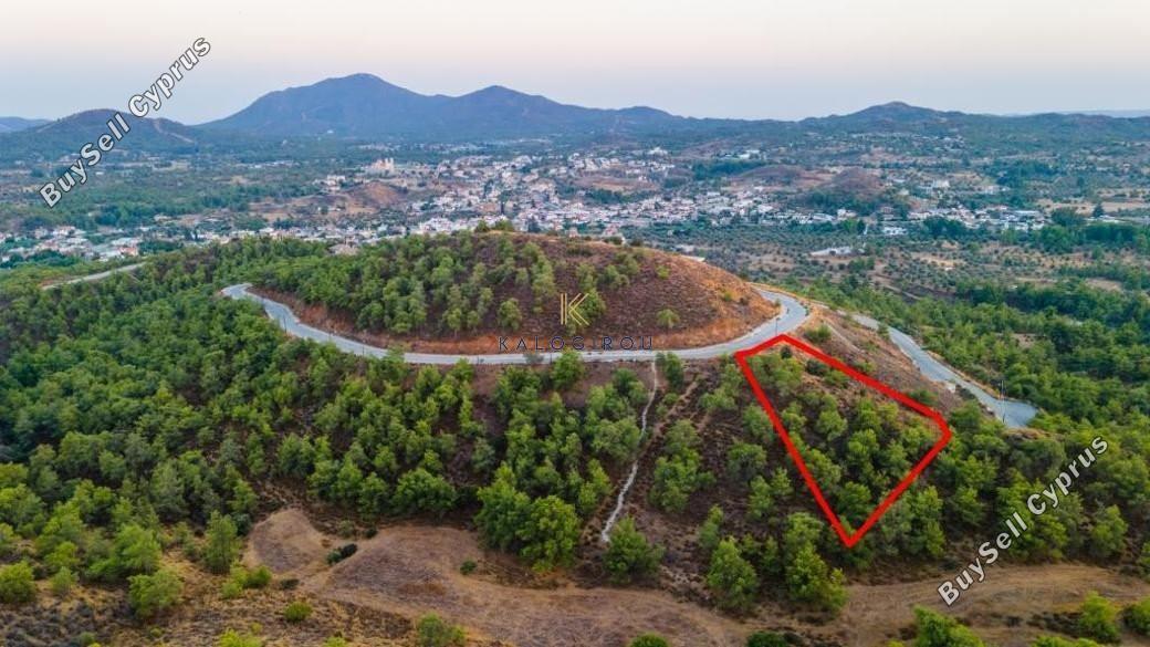 land for sale kornos larnaca 1194644 image 5568851