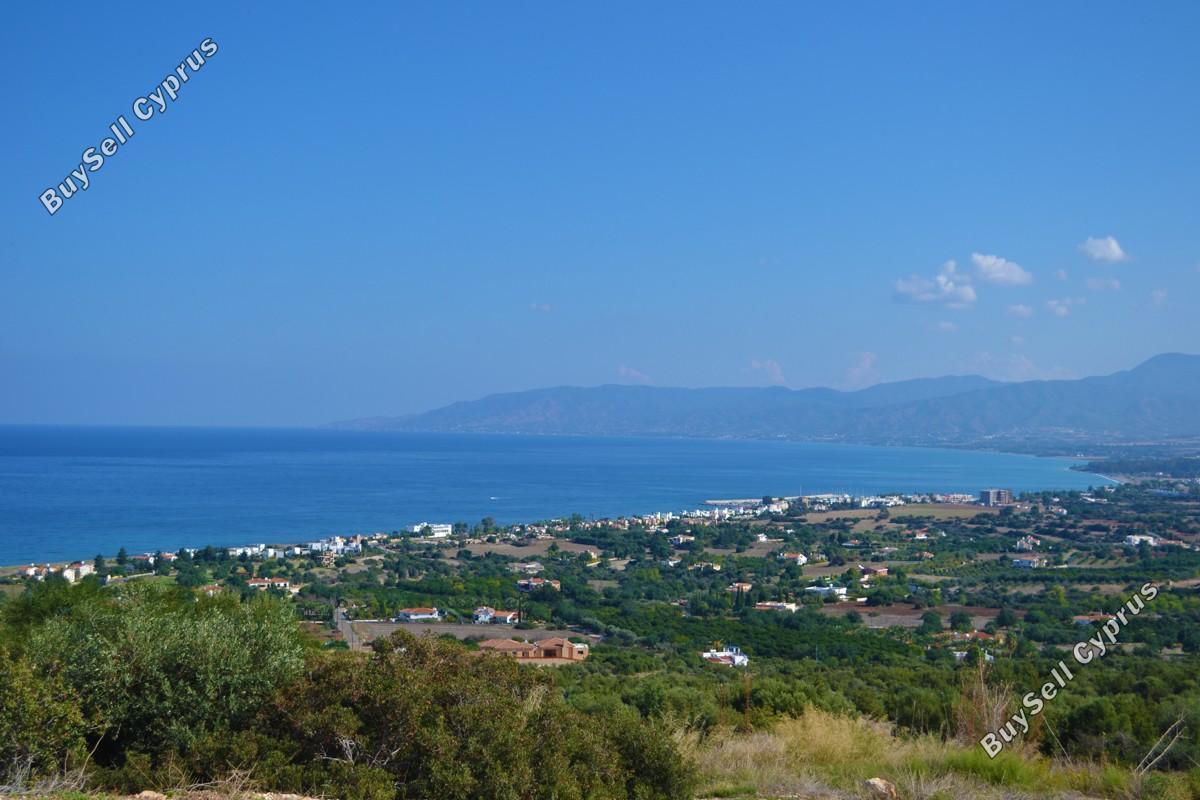 3 bedroom detached house for sale neo chorio paphos 8395744 image 16047100