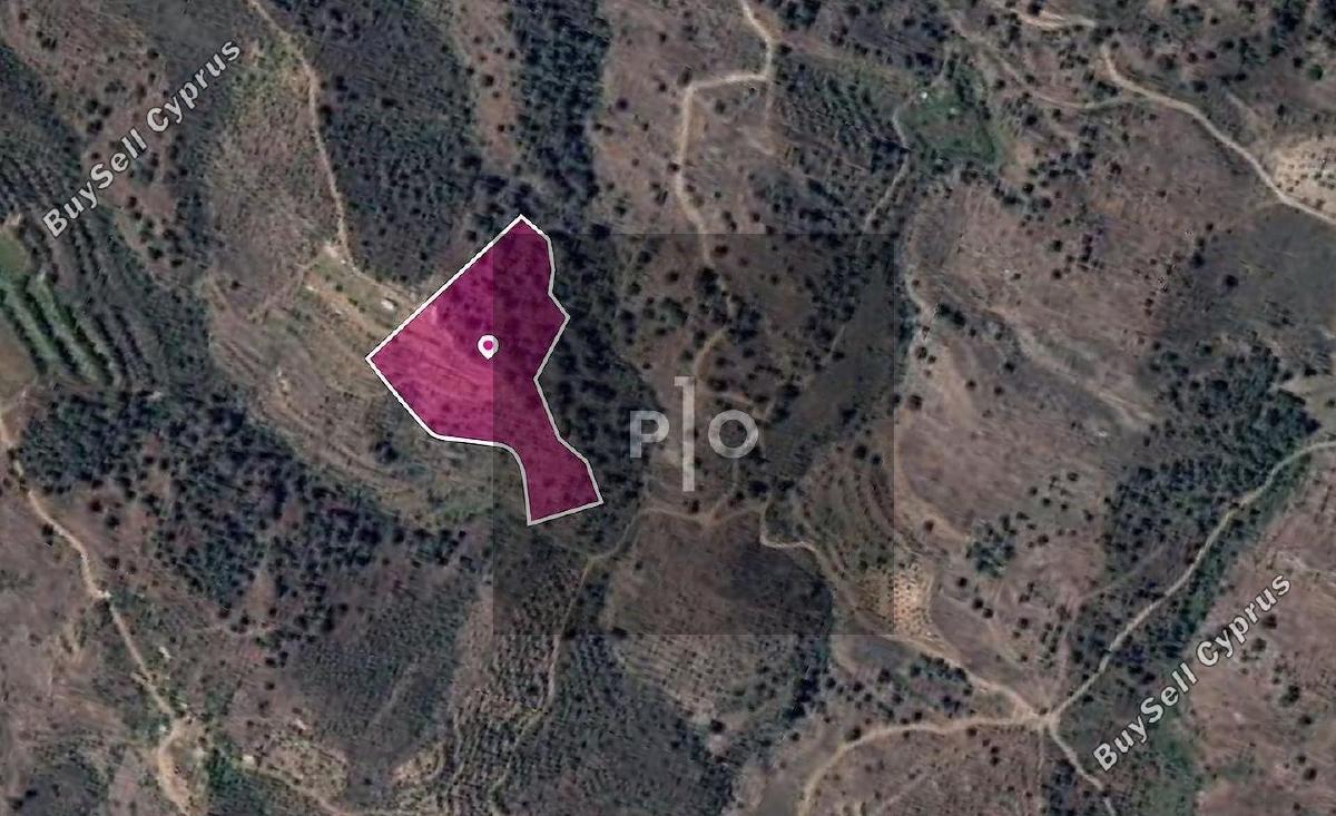 15720 SQM Land for sale in Agios Georgios Kafkallou, Nicosia 15155488