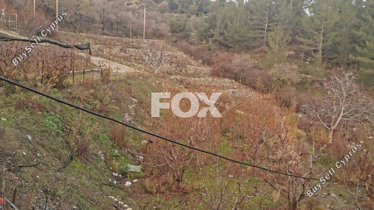 land for sale dymes limassol 1146844 image 5546003