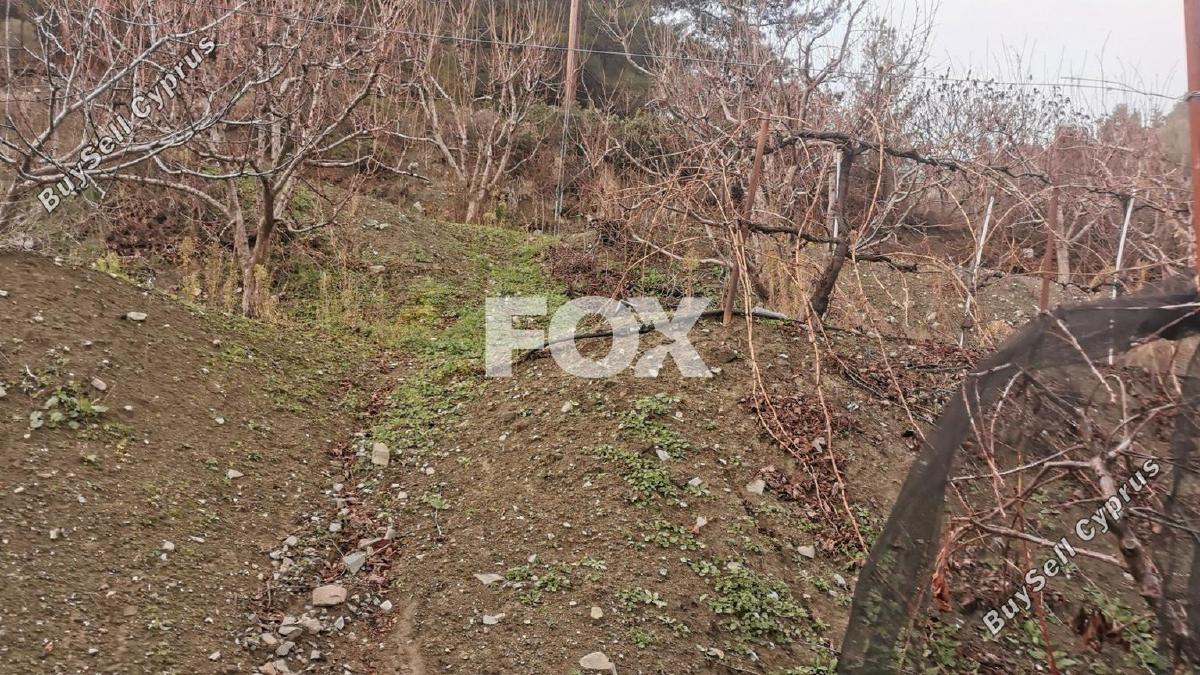 land for sale dymes limassol 1146844 image 5546005