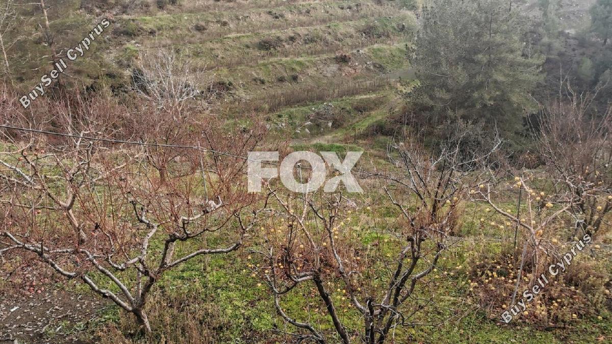 land for sale dymes limassol 1146844 image 5546007