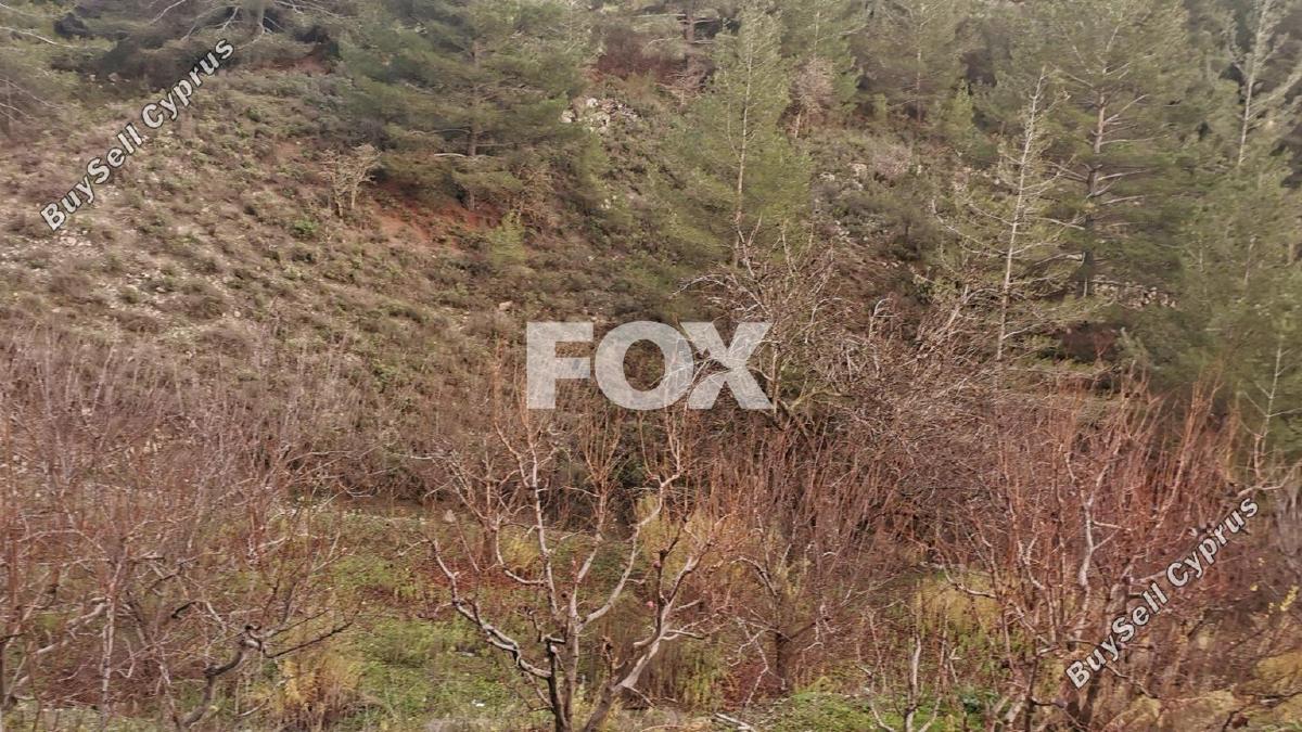 land for sale dymes limassol 1146844 image 5546009
