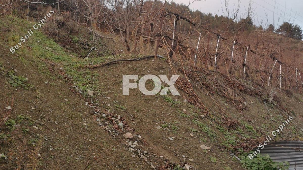 land for sale dymes limassol 1146844 image 5546011