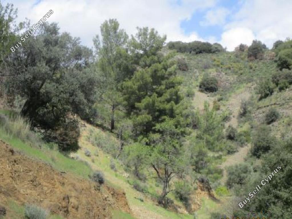 land for sale kaminaria limassol 945844 image 15602308