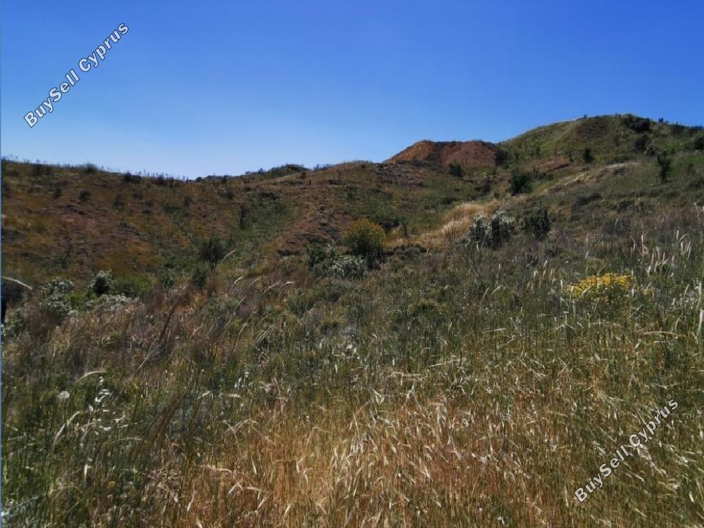 land for sale kapedes nicosia 1113844 image 6815003