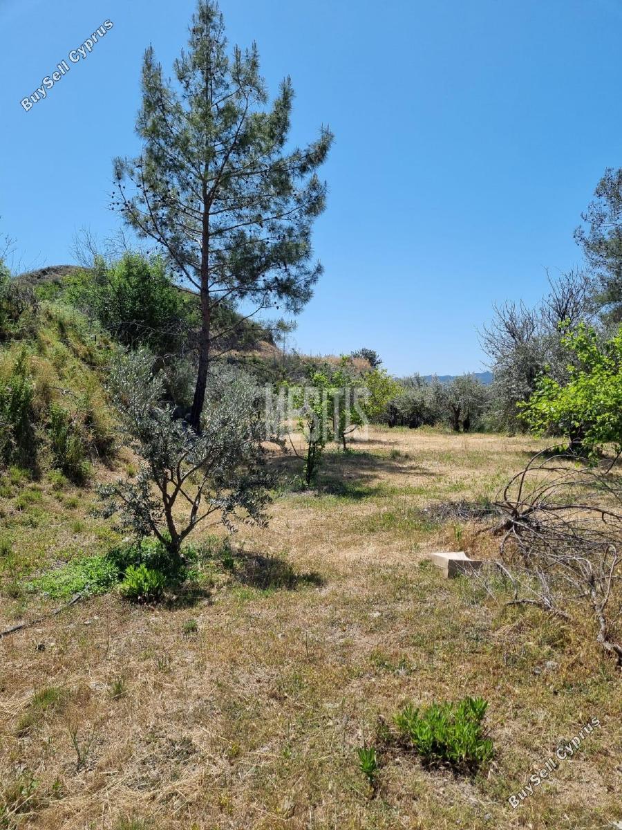 land for sale ora larnaca 1314844 image 10495037