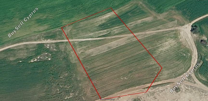 plot for sale mazotos larnaca 8537844 image 15498912