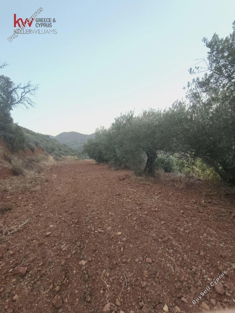 plot for sale pano lefkara larnaca 7573844 image 16131911