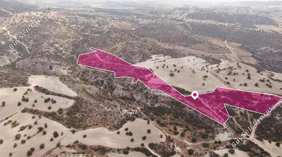 land for sale skarinou larnaca 8231944 image 15779610