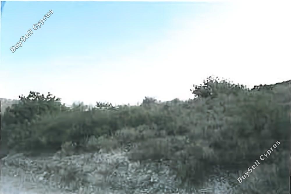 land for sale akrounta limassol 1594054 image 4958667