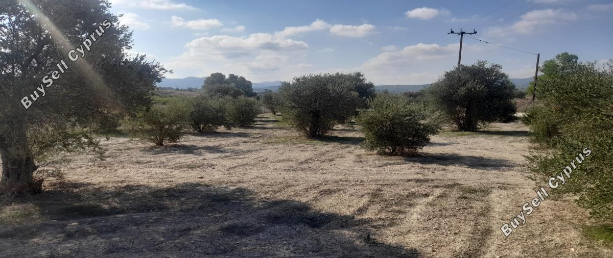 land for sale alampra nicosia 1062054 image 16162372