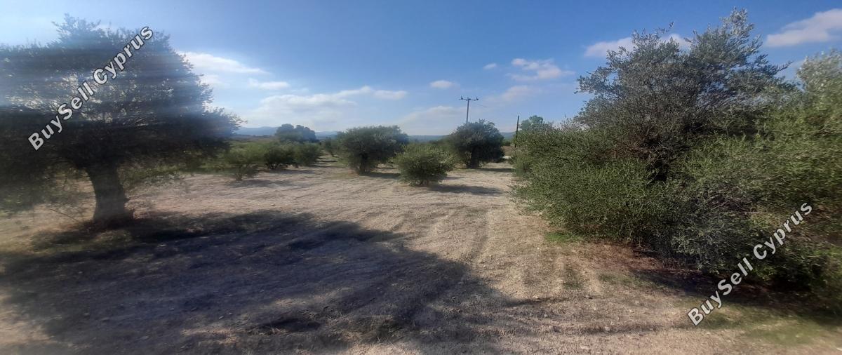 land for sale alampra nicosia 1062054 image 16162375