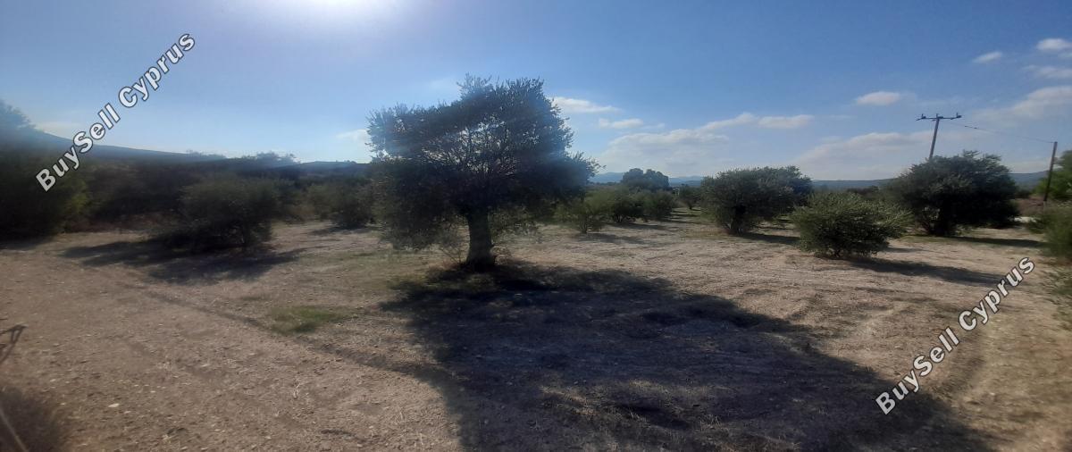 land for sale alampra nicosia 1062054 image 16162379