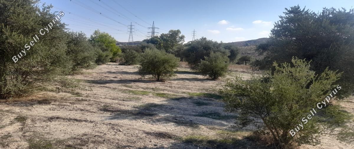 land for sale alampra nicosia 1062054 image 16162388