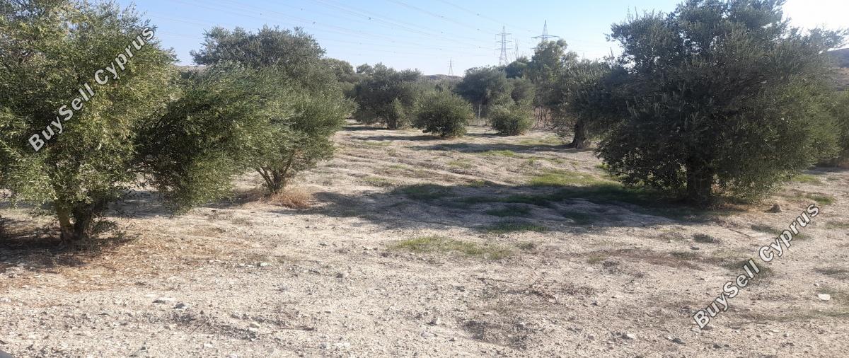 land for sale alampra nicosia 1062054 image 16162390